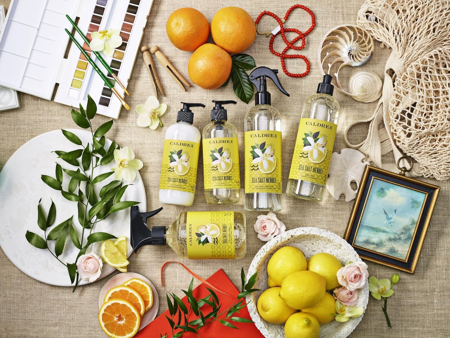 Caldrea Dish Soap, Biodegradable Dishwashing Liquid made with Soap Bark and Aloe Vera, Sea Salt Neroli, 16 oz