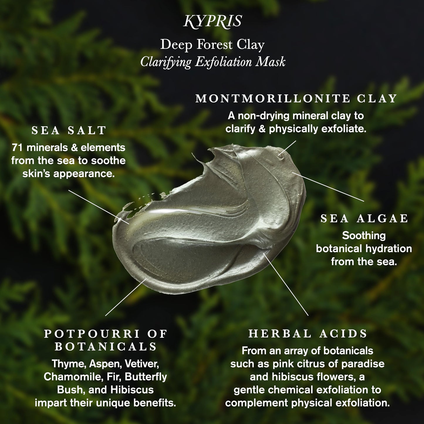 KYPRIS, Deep Forest Clay Clarifying Exfoliation Mask, Physical & Acid Exfoliation, Clarifying Clay & Soothing Botanicals (1.55 fl oz / 46 ml)