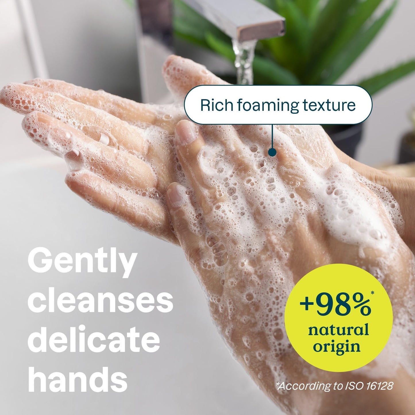 ATTITUDE Hand Soap for Sensitive Skin with Oat, EWG Verified, Dermatologically Tested, Vegan, Fresh Apple Scent, 16 Fl Oz (Pack of 2) Beauty and Personal Care BIO SPECTRA ATTITUDE