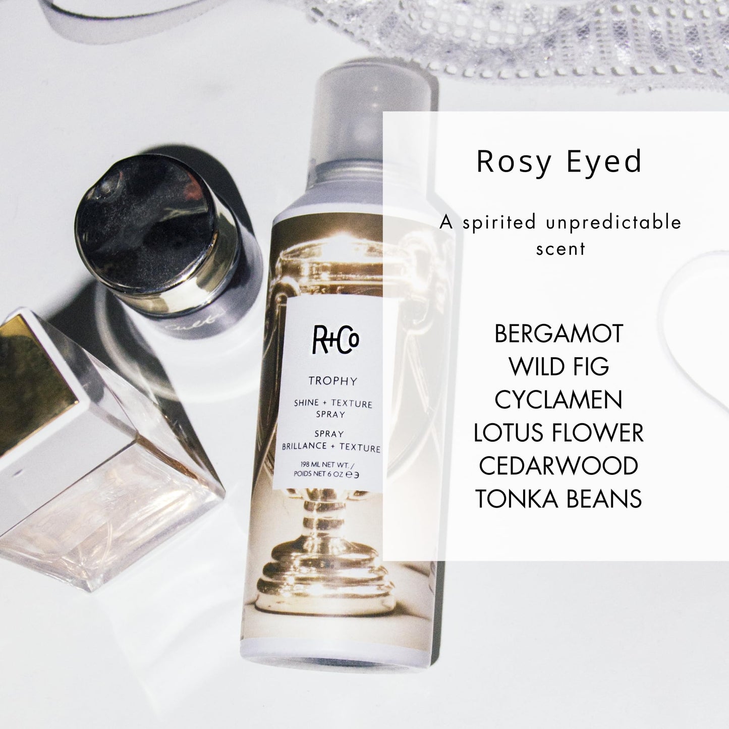 R+Co Trophy Shine + Texture Spray 198 ml / 6 oz