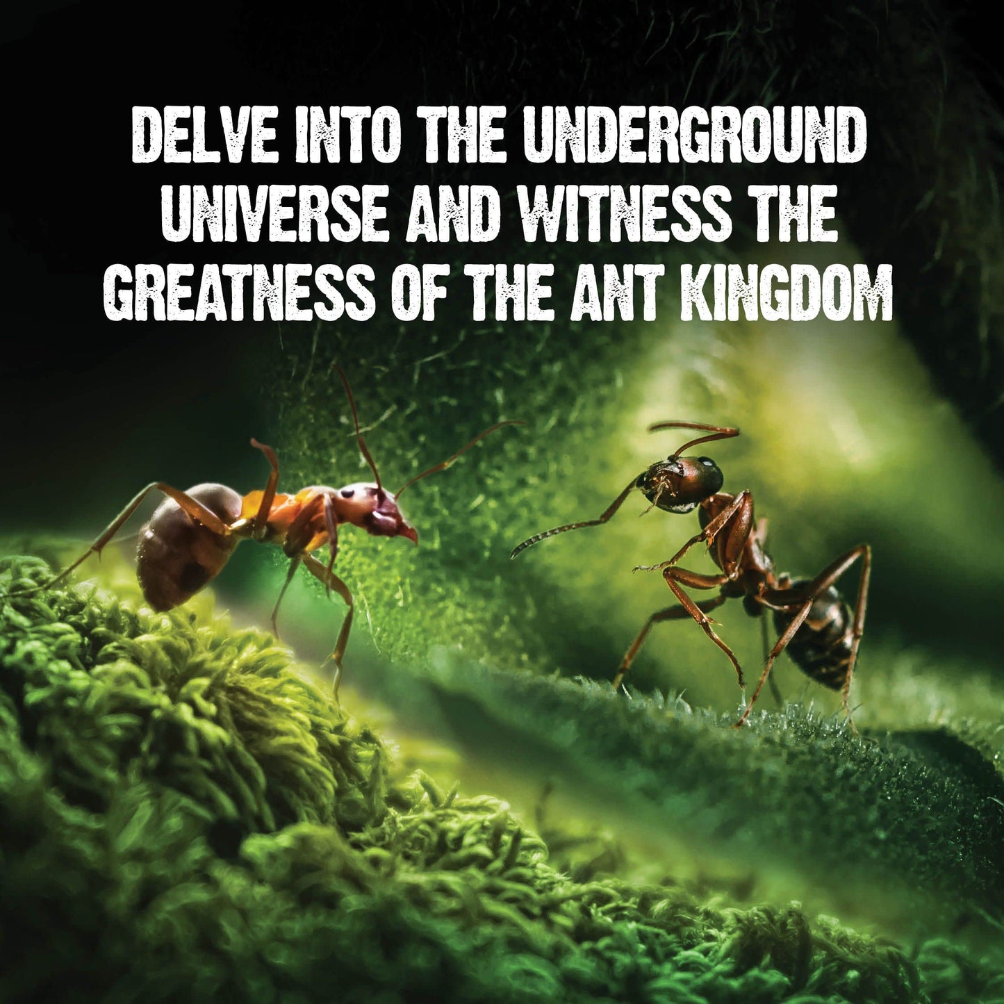 Dan&Darci Light-Up Ant Farm Terrarium – LED Habitat with Nutrient-Rich Gel, Watch Ants Dig Tunnels, Fun STEM Science Kit & Gift for Kids