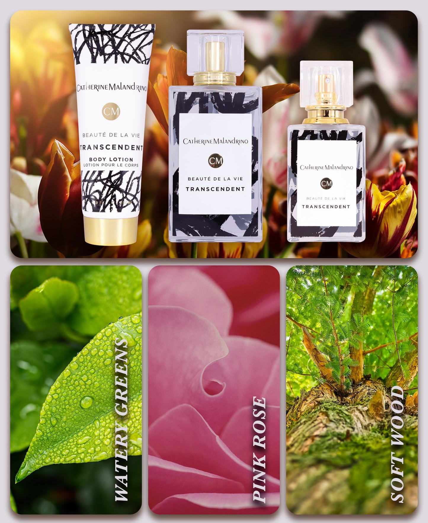 Transcendent by Catherine Malandrino Eau de Parfum 3 Piece Gift Set for Women