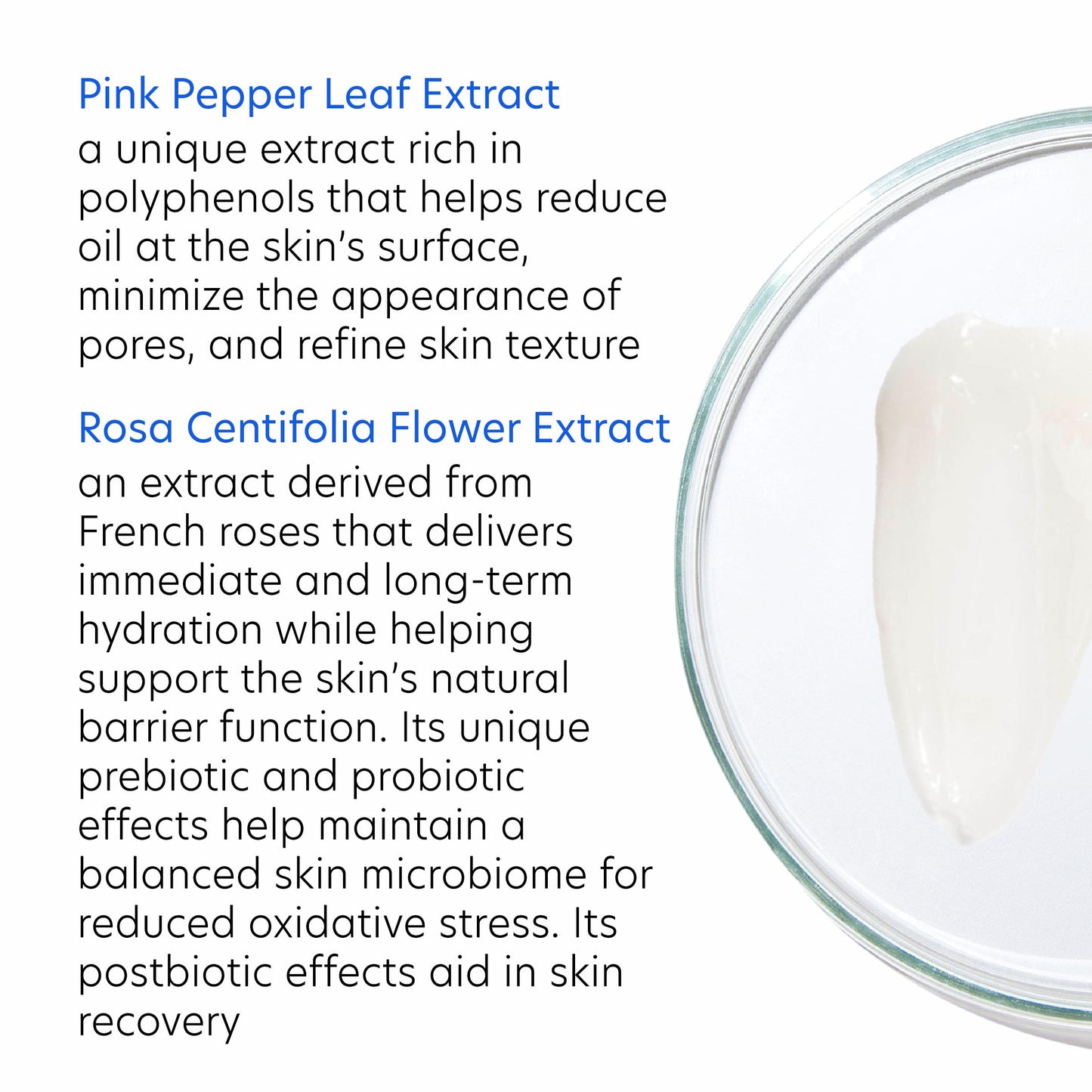 PCA SKIN HydraMatte Oil Control Moisturizer, Face Moisturizer for Oily Skin, Helps Reduce Oil and Promotes a Smoother Complexion, Absorbs Quickly