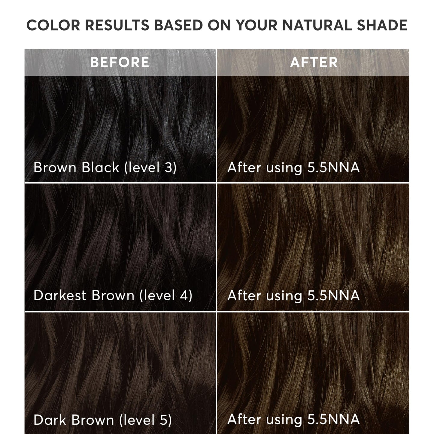Madison Reed Radiant Hair Color Kit - 100% Gray Coverage for Resistant Grays, 5.5NNN Dark Brown with Warm Golden Tones (Modena Brown) | PPD-Free