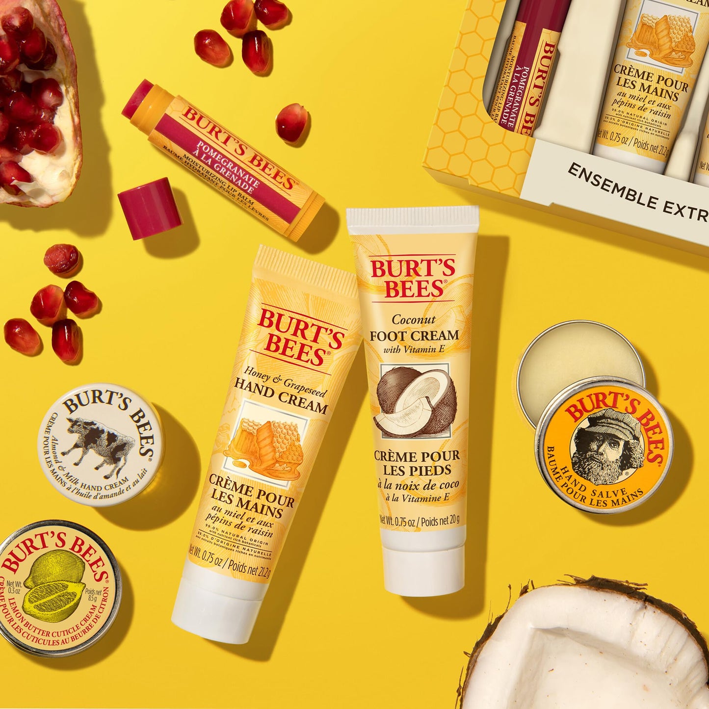 Burt's Bees Tips and Toes Kit - 6 ct - 2 pk