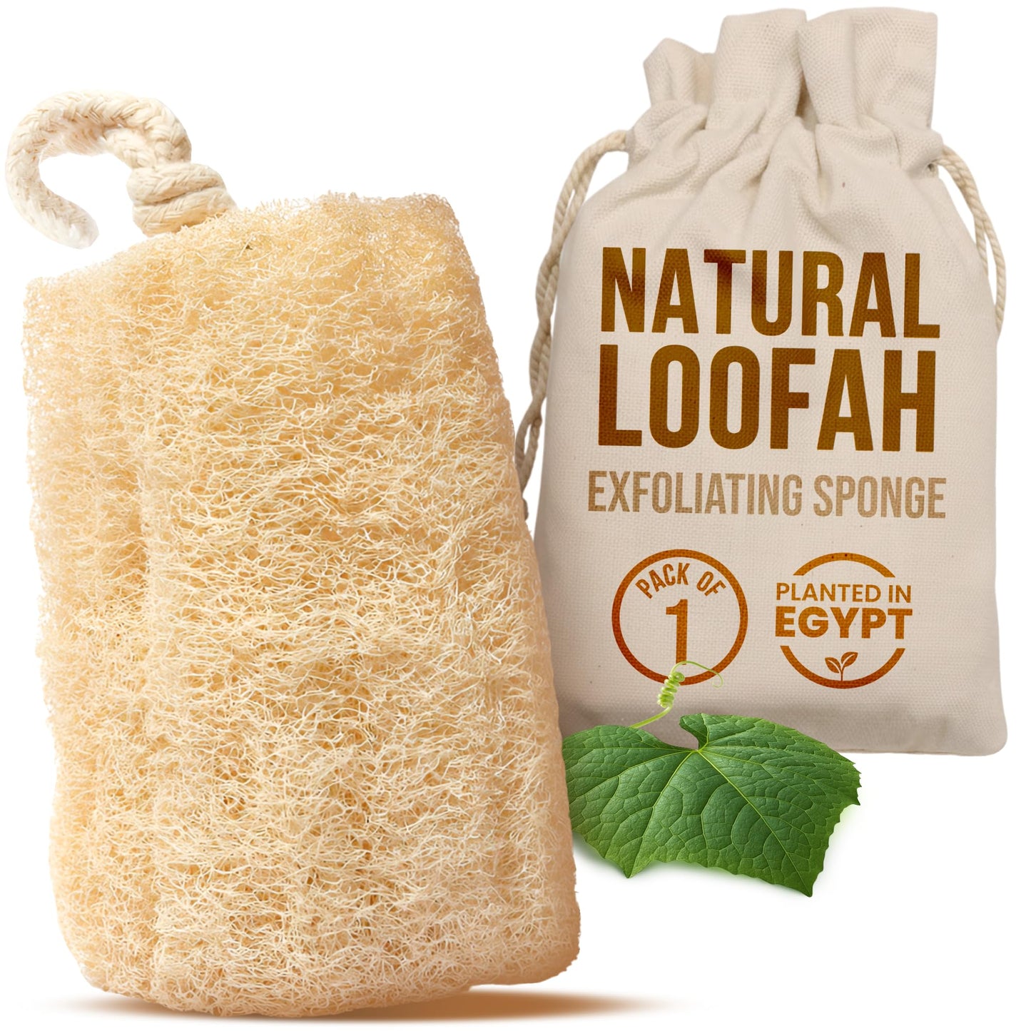 CraftsOfEgypt Natural Loofah Sponge - Egyptian Luffa Body Scrubber Pack of 1 for Men & Women, Natural Bath & Shower Loofah Exfoliator, All Natural