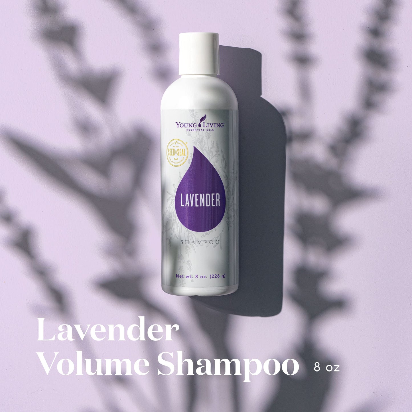 Young Living Lavender Volume Shampoo Essential Oils - Cleanses and Nourishes Fine Hair - 8 fl oz - Gently Cleanses Fine Hair for a Boost of Body