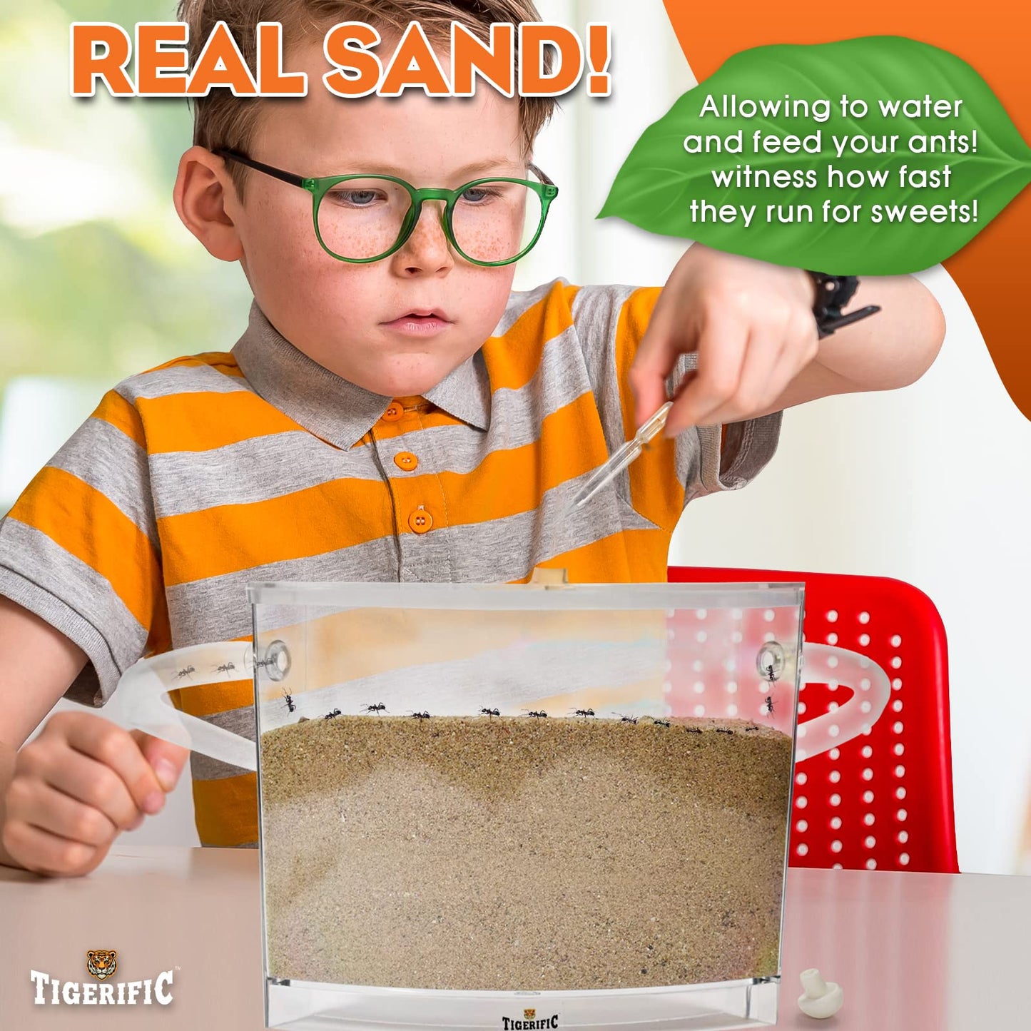 Tigerific Ant Farm – Live Ant Colony Kit with Real Sand, Fun Science Habitat for Kids, Watch Ants Dig Tunnels, Carry Food & Explore