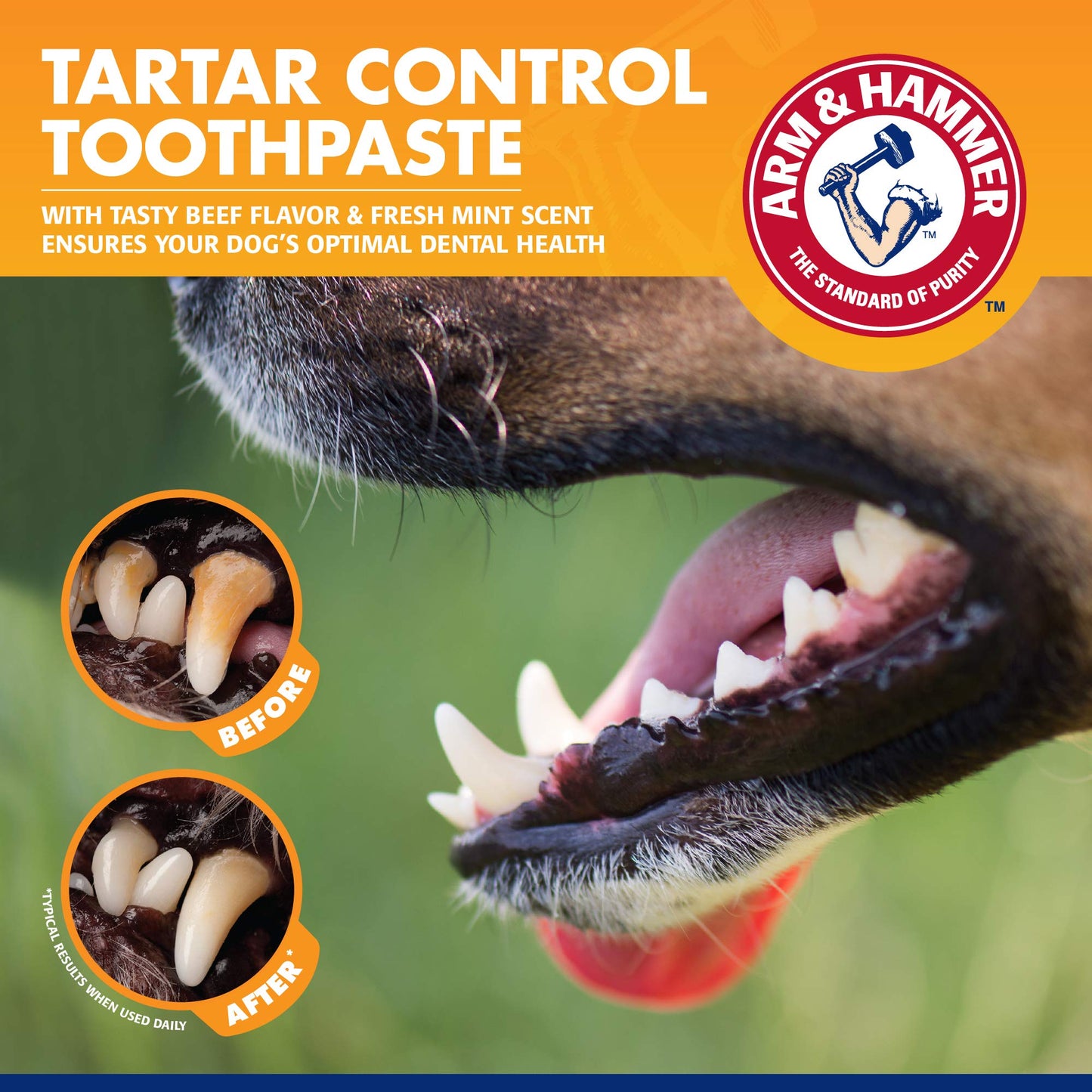 Arm & Hammer Dog Tartar Control Kit – Toothpaste, Toothbrush & Fingerbrush, Reduces Plaque, Safe for Puppies, Beef Flavor