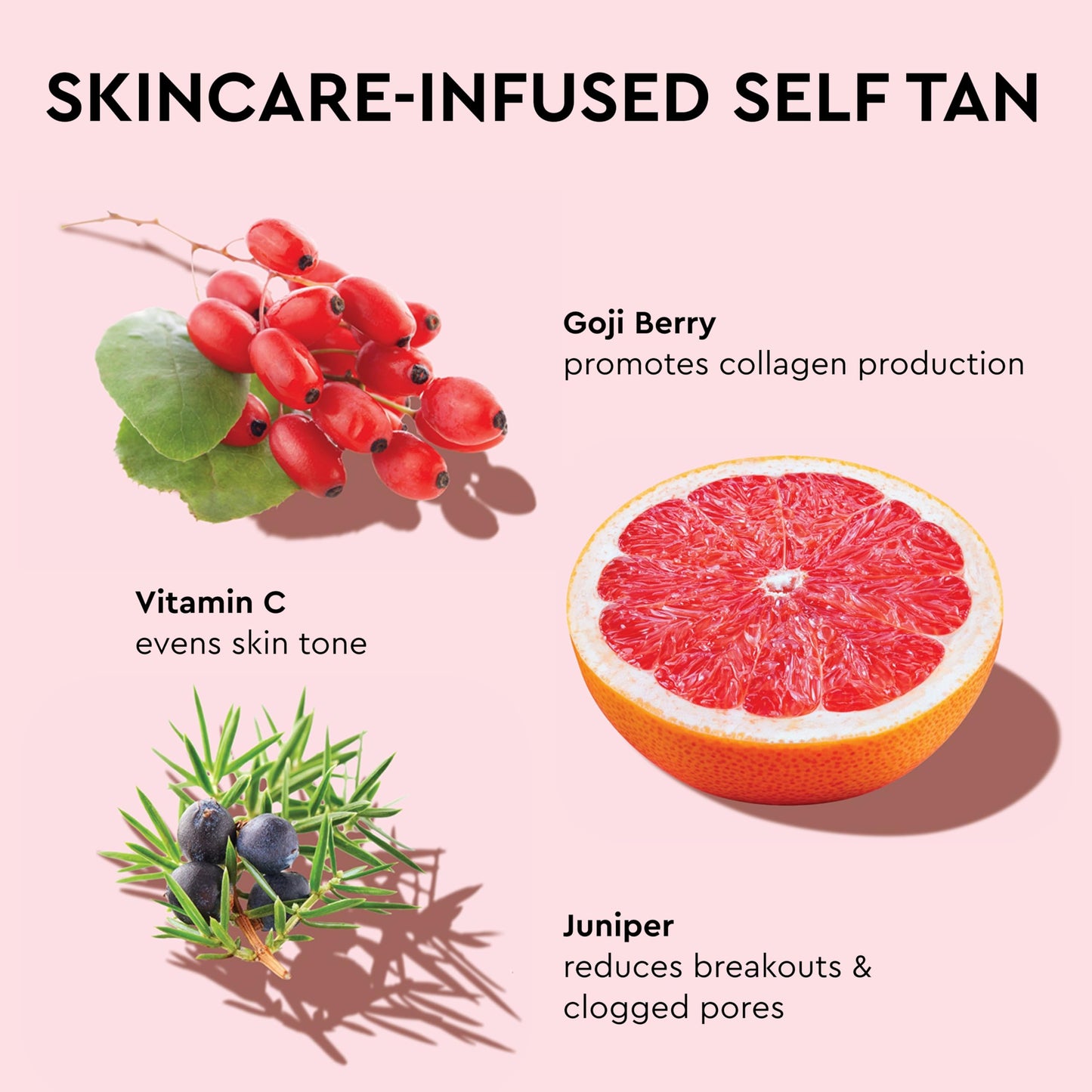 Tanologist Self Tanner Mousse, Medium Self Tan Mousse, Streak-Free, Natural Glow, No Fake Tan Smell or Orange Tone, Long Lasting, Clean Ingredients Beauty and Personal Care Tanologist
