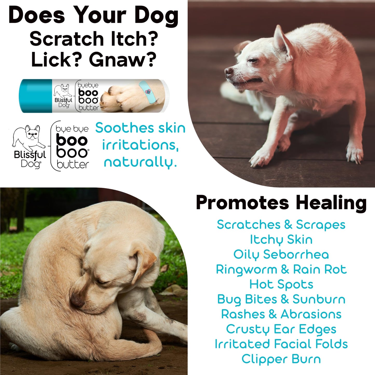 The Blissful Dog Coonhound Boo Boo Butter, 4-Ounce Beauty and Personal Care The Blissful Dog