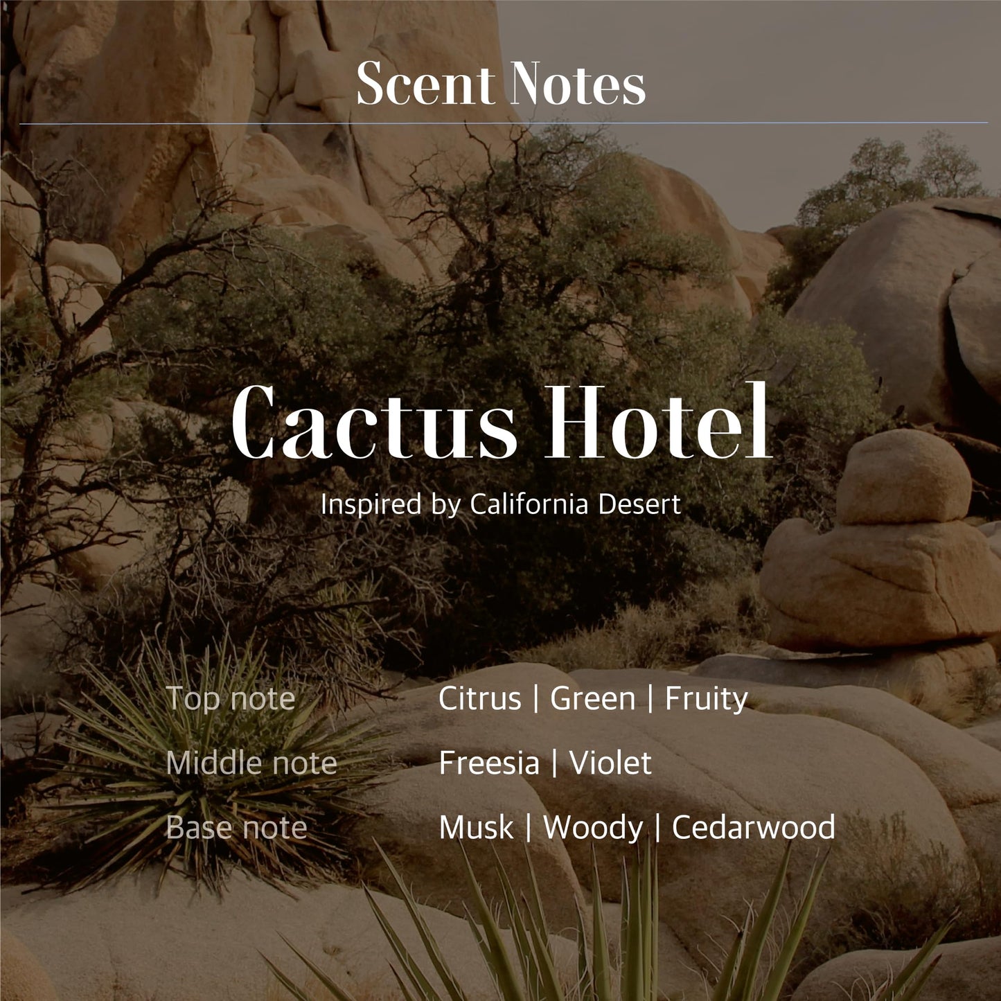 Fountain of Waters Cactus Hotel Almond Hand Wash 300ml, Vegan Cruelty-Free Premium hand Wash with Almond oil and shell, Crafted in Korea