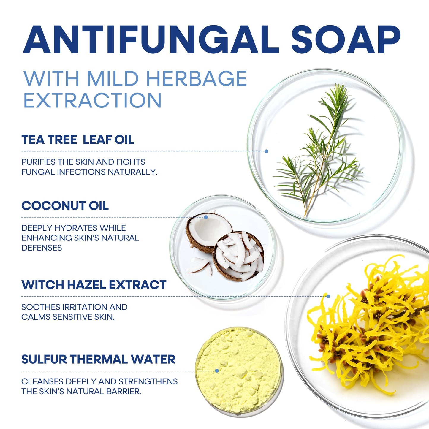 Hermon Antifungal Soap with Tea Tree Oil: Antifungal Bar Soothing Care & Relief of Itchy for Ringworm Jock Itch Athletes Foot - Body & Face Wash Beauty & Personal Care Hermon