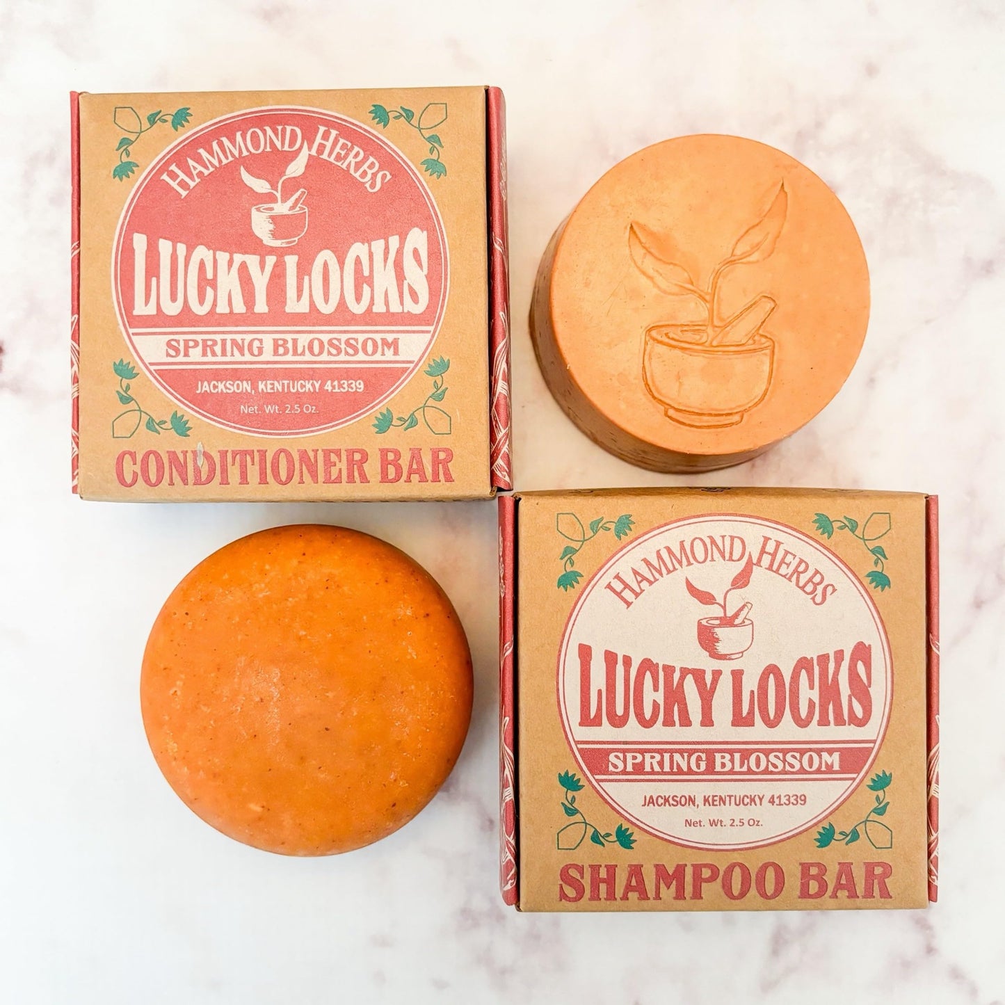 Lucky Locks | Pick Your Scent | Natural Shampoo & Conditioner Bar Set | Zero Waste Hair Care | Sulfate Free (Spring Blossom)