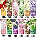 ANKOOY 12 Pack Hand Cream for Dry Cracked Hands,Stocking Stuffers for Women,Christmas Gifts for Teengirls, Natural Hand Lotion Travel Size,Mini Lotion