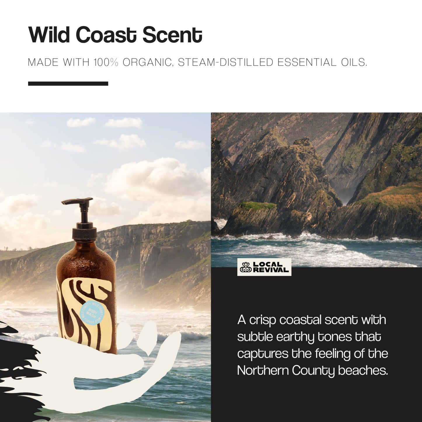 Local Revival Tallow and Honey Body Wash - Wild Coast - Beef Tallow with Honey, Olive Oil, Shea Butter and Jojoba Oil - Moisturizing Body Wash for Men