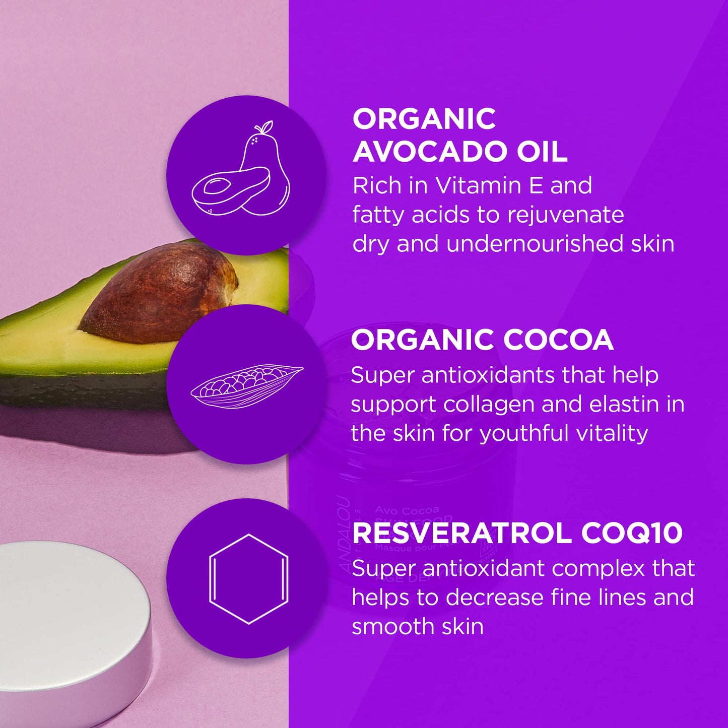 Andalou Naturals Facial Mask, Avo Cocoa Skin Food, 1.7 Ounce