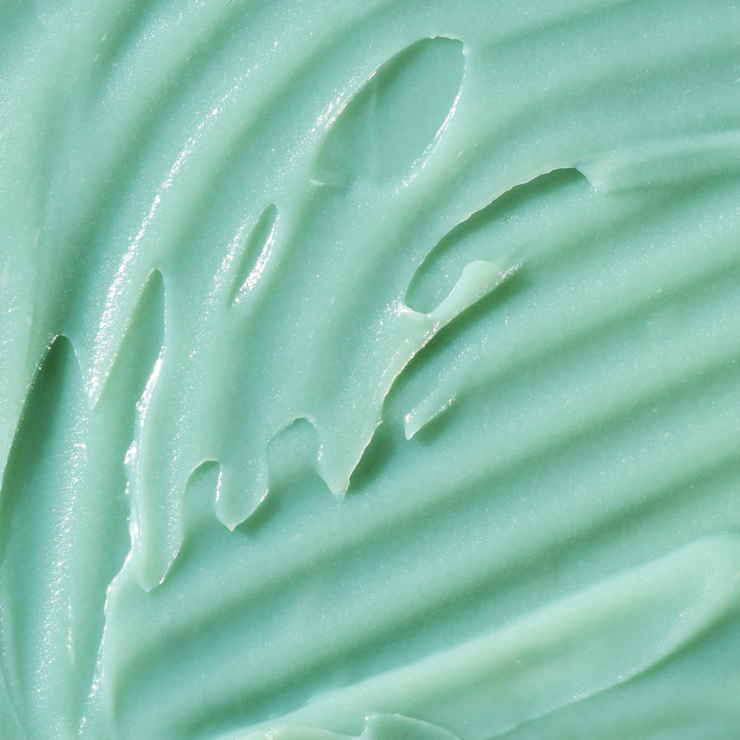 BAMBU EARTH Intense Hydration Cactus Face Moisturizer - Deeply Hydrate with Pressed Serum Formula - Skincare to Soften Texture, Balanced Complexion