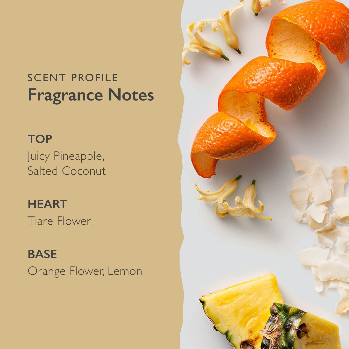 SCENT BEAUTY Scent-Organix I Am Bright Perfume for Men & Women - Fruity and Citrusy Scent with Notes of Pineapple, Tiare Flower & Orange Flower