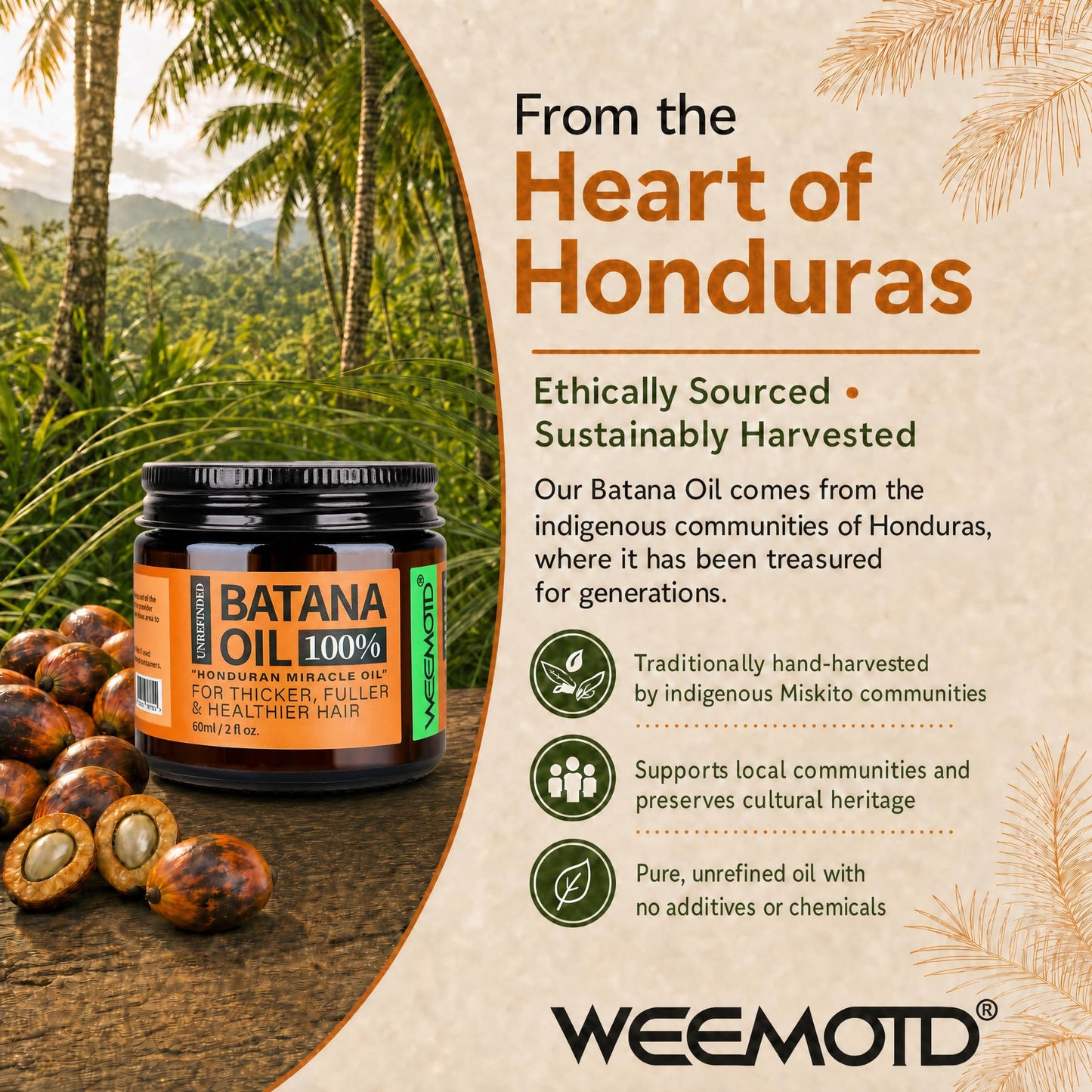 WEEMOTD 100% Raw Batana Oil for Hair, Unrefined Conditioning Scalp Oil from Honduras, Moisturizing Hair Mask, Adds Shine & Softness for Men & Women (2 Beauty and Personal Care WEEMOTD