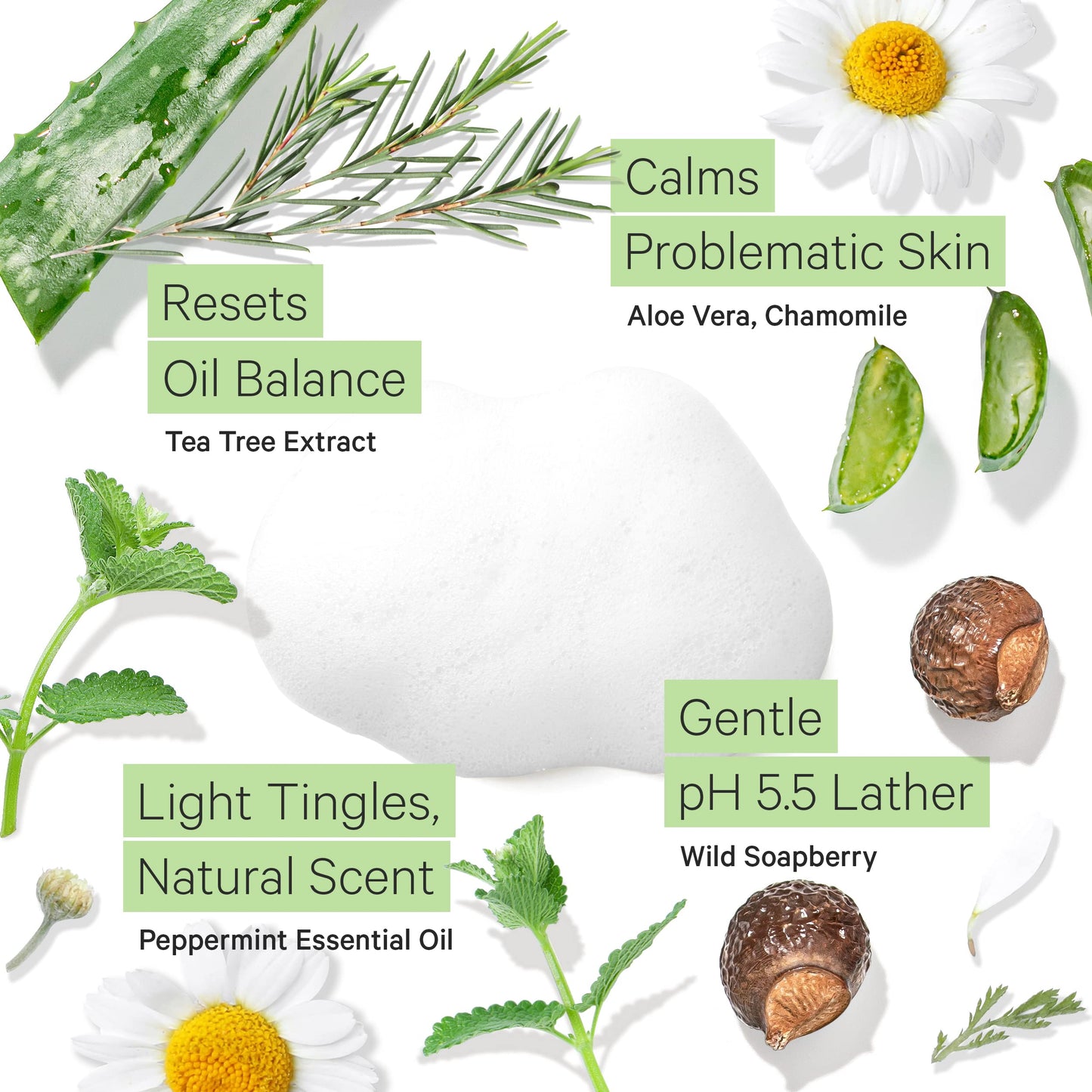 Tree to Tub Sensitive Skin Face Wash for Oily or Combination Skin - Gentle Tea Tree Face Cleanser for Women & Men, Oil Free Daily Foaming Facial
