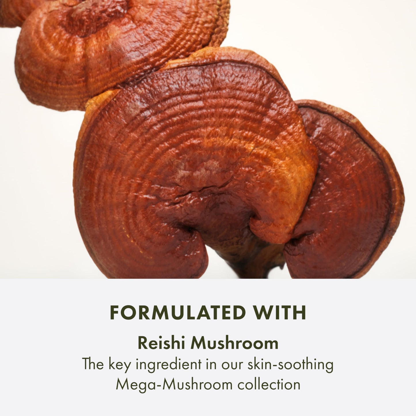 Origins Mega-Mushroom Gentle Face Cleanser | Great for Sensitive Skin | With Reishi Mushroom, 5 Fl Oz