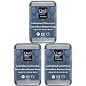 One With Nature Activated Charcoal Soap 7oz 3-Pack - Detoxifying and Exfoliating Charcoal Soap Bar with Dead Sea Salt for Face & Body, for Men & Women