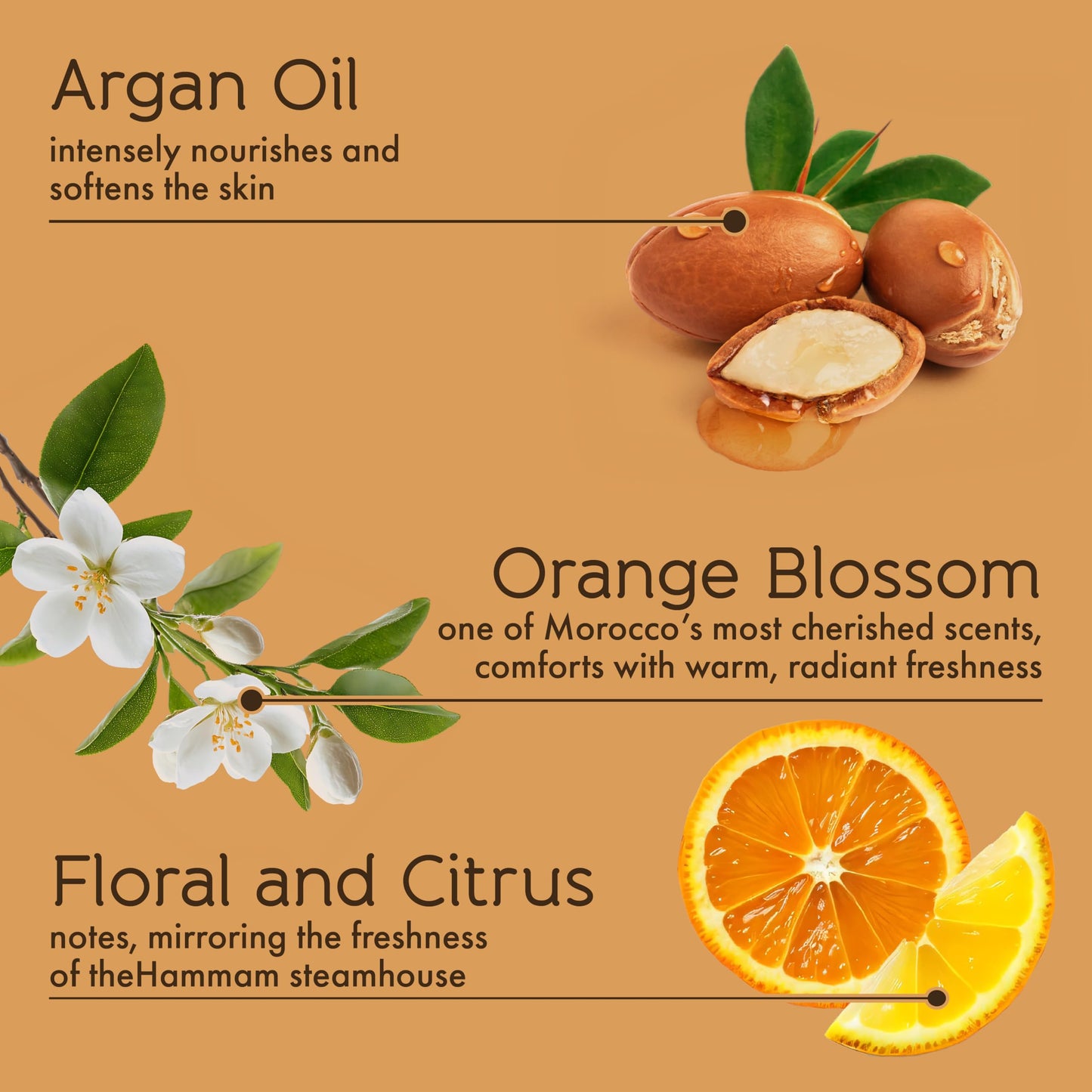 Tesori d’Oriente Hammam Body Wash & Bubble Bath, 17.5 fl oz, Gentle, Hydrating Shower Gel with Argan Oil & Vitamin E, Warm Orange Blossom Scented, No