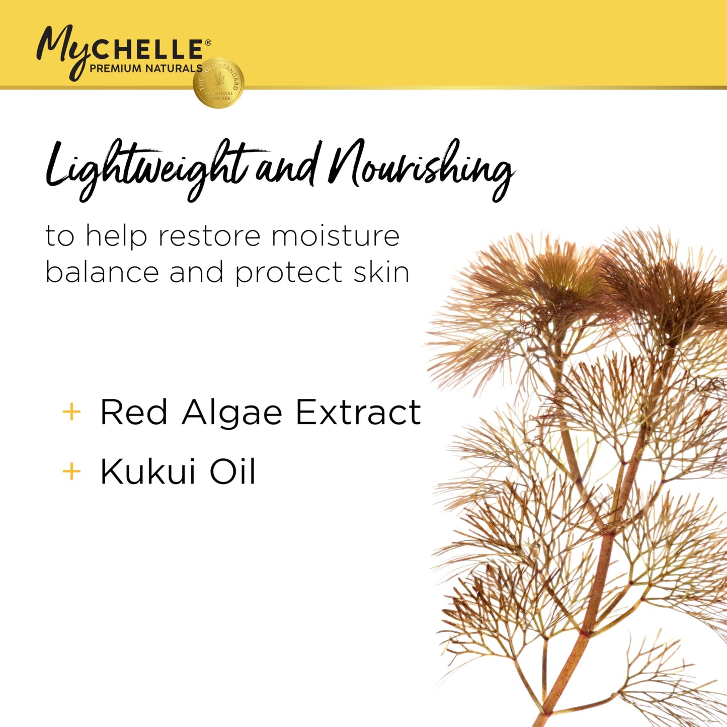 MyCHELLE Dermaceuticals Solar Defense SPF 30 (2.3 Fl Oz) - Moisturizing Reef Safe Sunscreen with Red Algae Extract and Kukui Oil - Travel Size Zinc