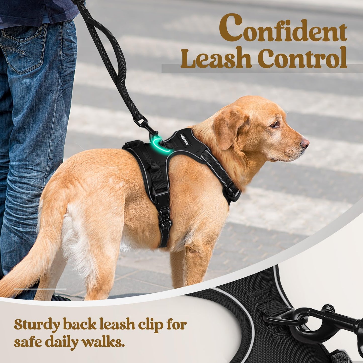 rabbitgoo No-Pull Dog Harness for Large Dogs, Adjustable Padded Vest with 2 Leash Clips, Reflective & Easy Control Handle, Black L