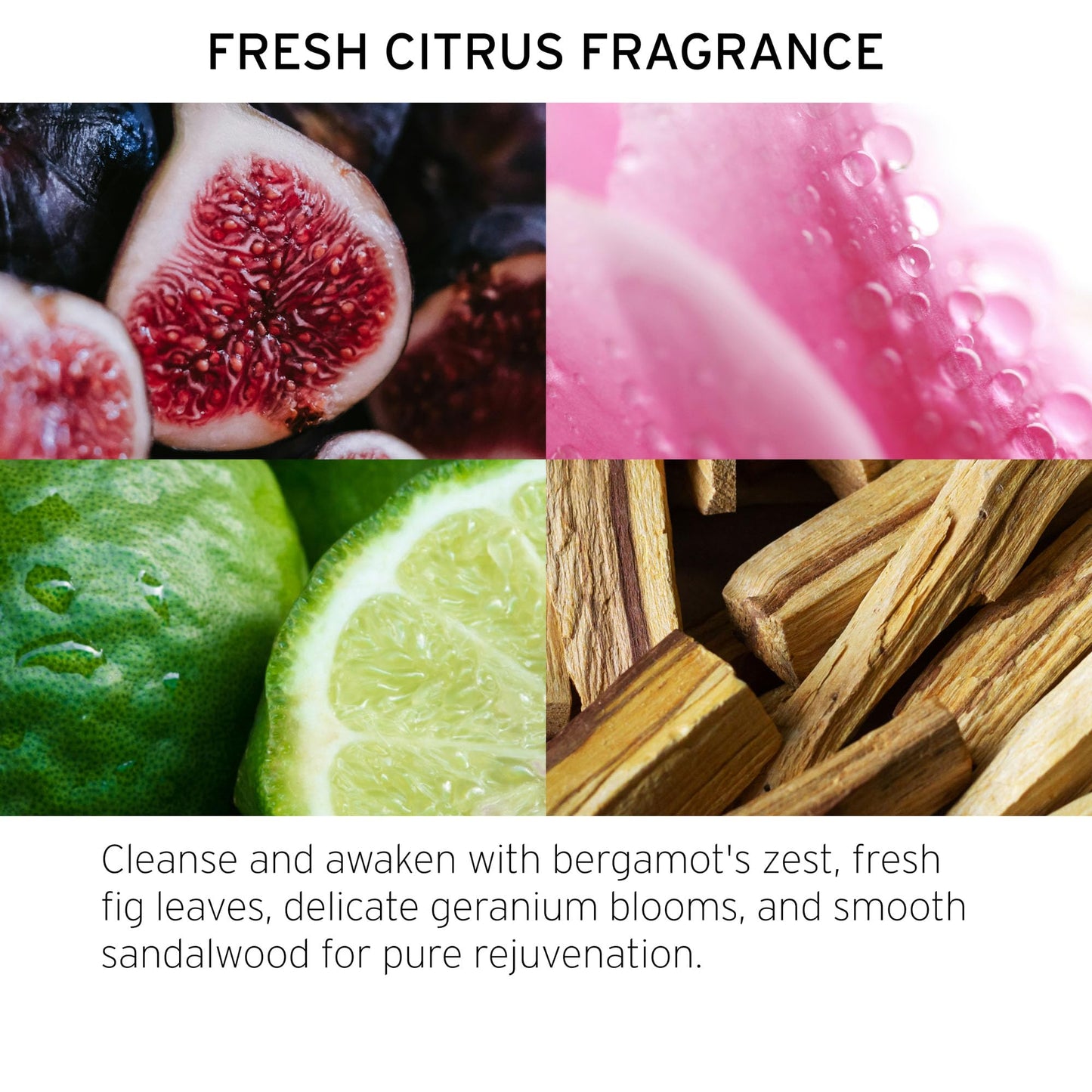 Fekkai Blonde Rx Anti-Brass Repair Mask - 7.5 oz - Leaves Hair 3X Stronger with 67% Less Breakage - Free of Sulfates, Parabens, Phthalates - Vegan