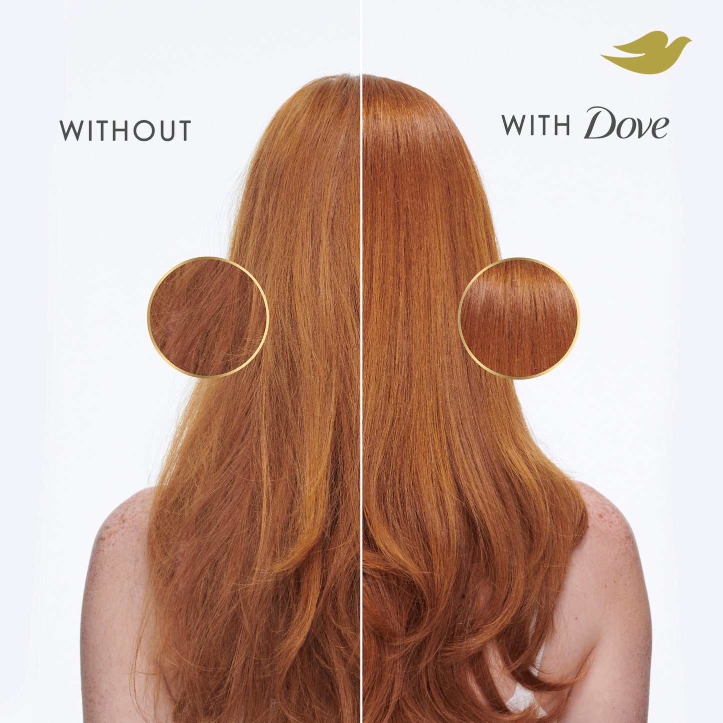 Dove Shampoo Volume & Fullness for Fine, Thin Hair with Bio-Protein Care Technology and Biotin 28 Fl Oz (Pack of 4) Beauty and Personal Care Dove
