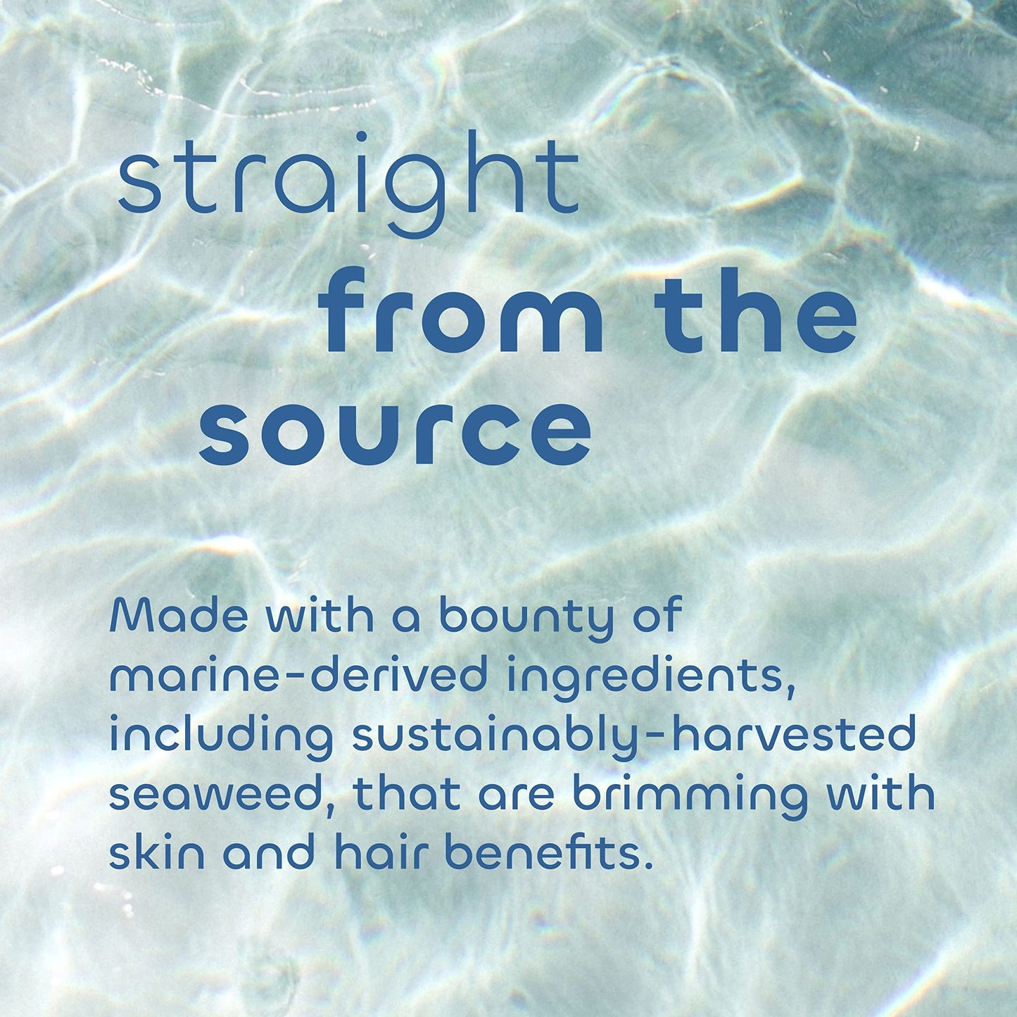 Seaweed Bath Co. Melt-In Water Lotion, Sea Salt Bergamot Scent, 4 Ounce, Sustainably Harvested Seaweed, Sea Grape, Beta-Glucan