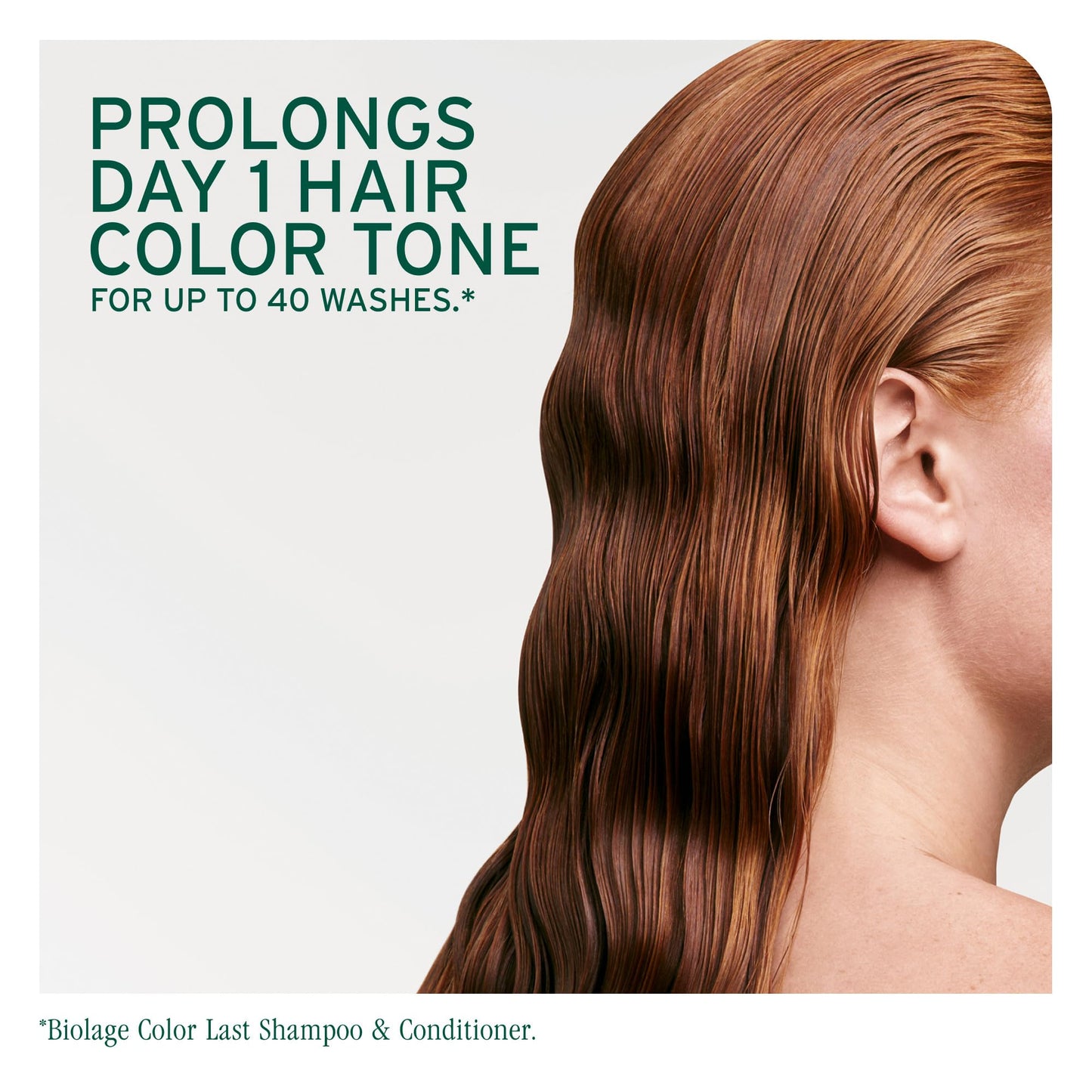 Biolage Color Last Conditioner | Color Safe Conditioner | Helps Maintain Depth & Shine | For Color-Treated Hair | Paraben & Silicone-Free | Vegan| Beauty and Personal Care Biolage