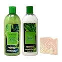 Bath & Body Works Waikiki Beach Coconut - Moisturizing Shampoo and Moisturizing Conditioner with a Himalayan Salts Springs Sample Soap
