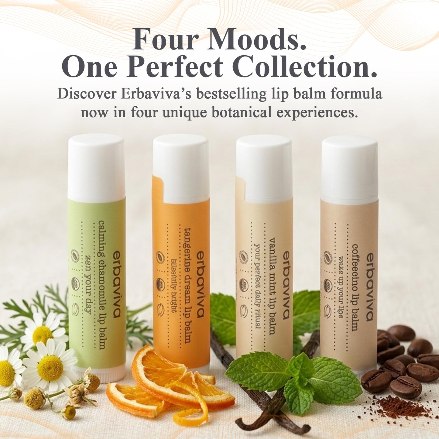 Erbaviva Vanilla Mint Lip Balm 4 Pack - USDA Organic Lip Balm with Elderflower, Calendula & Shea Butter - Long-Lasting Moisturizing Lip Care Beauty and Personal Care erbaviva