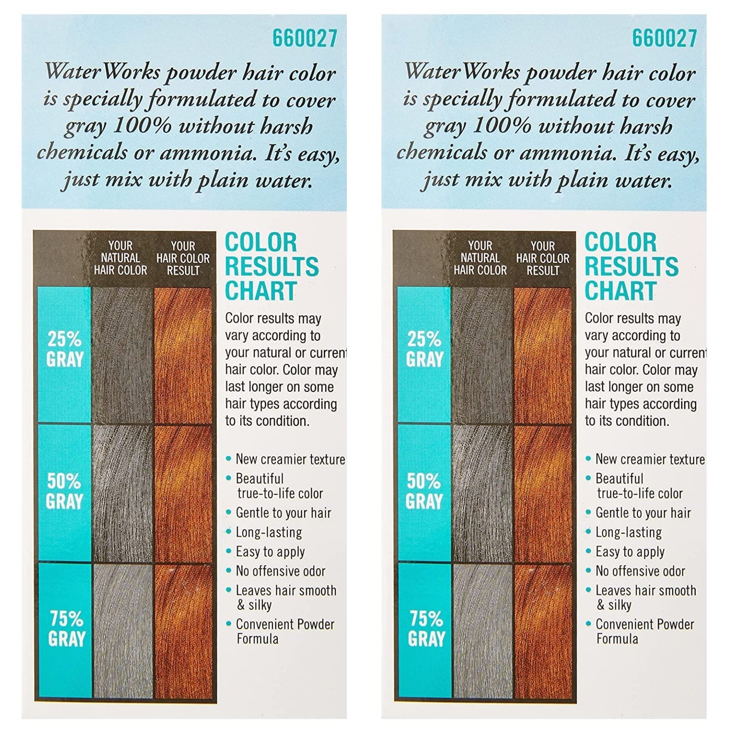 Water Works Permanent Powder Hair Color - #27 Natural Light Brown 0.2 oz. (Pack of 2)
