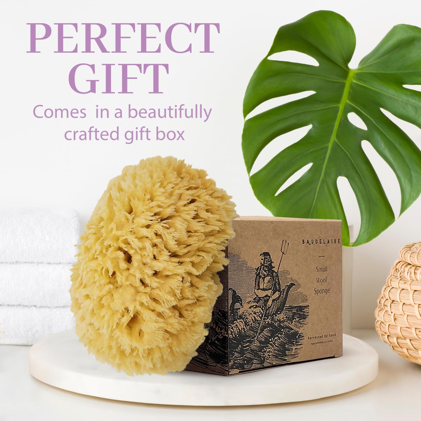Baudelaire Sea Wool Sponge 5.5" - Natural Sea Sponge for Bathing and Shower - Durable, Sustainable & Environment-Friendly Loofah for Body
