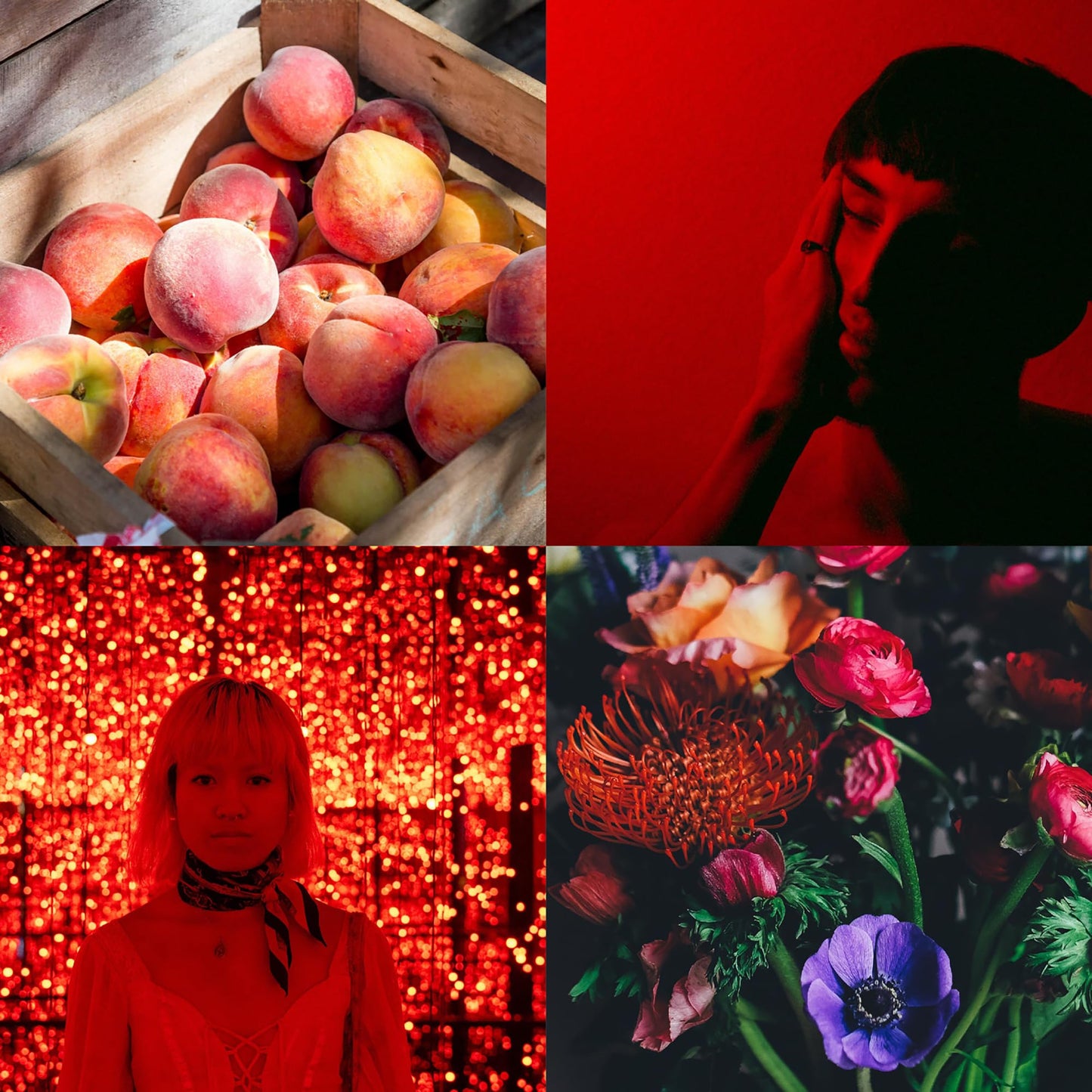 Perfumer's Choice Milton-Lloyd Phoenix - Perfume for Men and Women - Floral Woody Amber Perfume - Long Lasting Fragrance for Women and Men - 2.8 oz