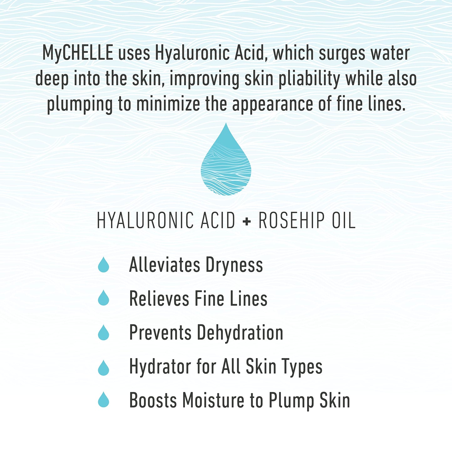 MyCHELLE Dermaceuticals Ultra Hyaluronic Hydrating Serum (1.0 Fl Oz) - Rich Hydration for Dry Skin with Vegan Hyaluronic Acid, Help Plump Skin Beauty & Personal Care MyChelle Dermaceuticals
