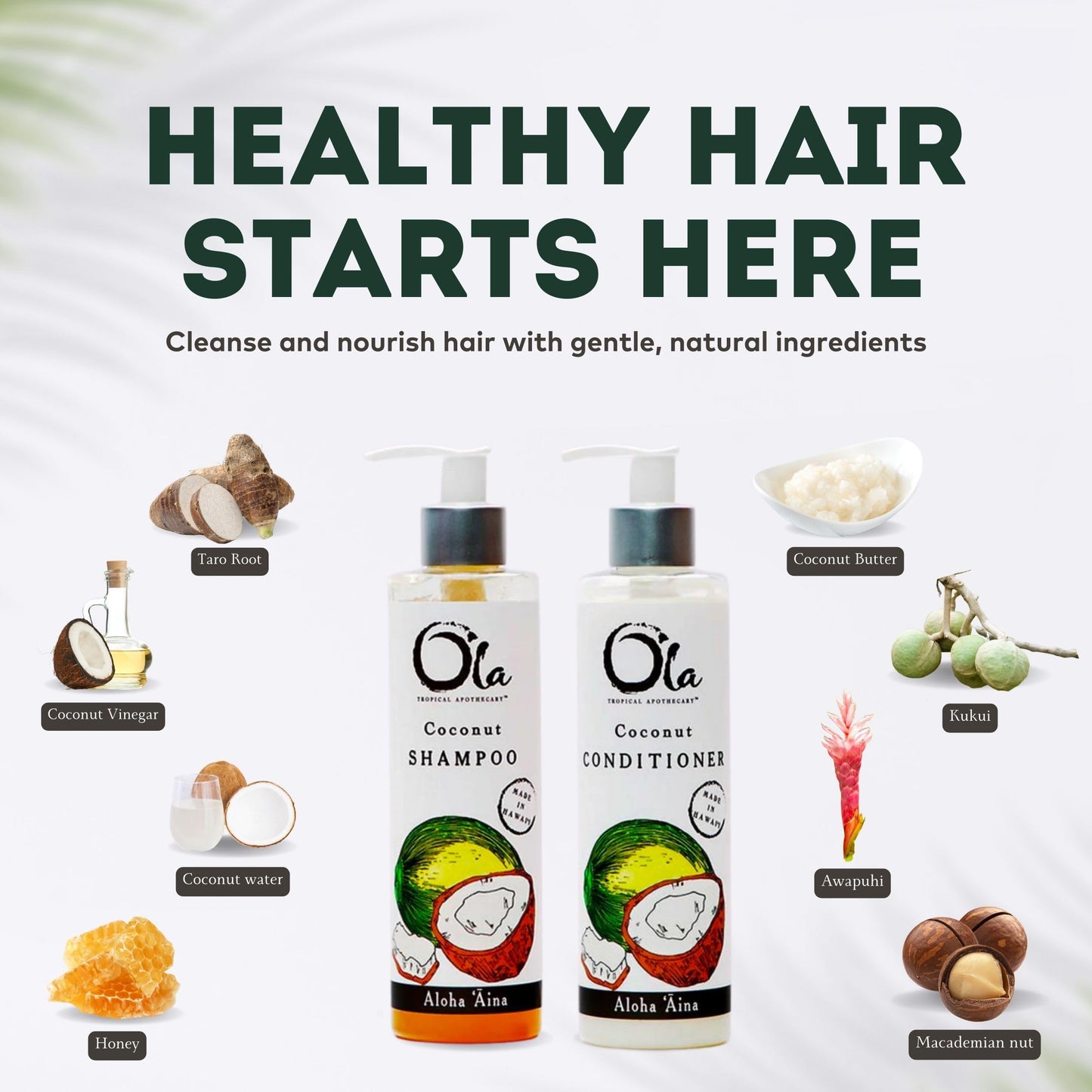 Ola Tropical Apothecary Coconut Organic Shampoo and Conditioner Hair Pair Combo - 8 fl oz each