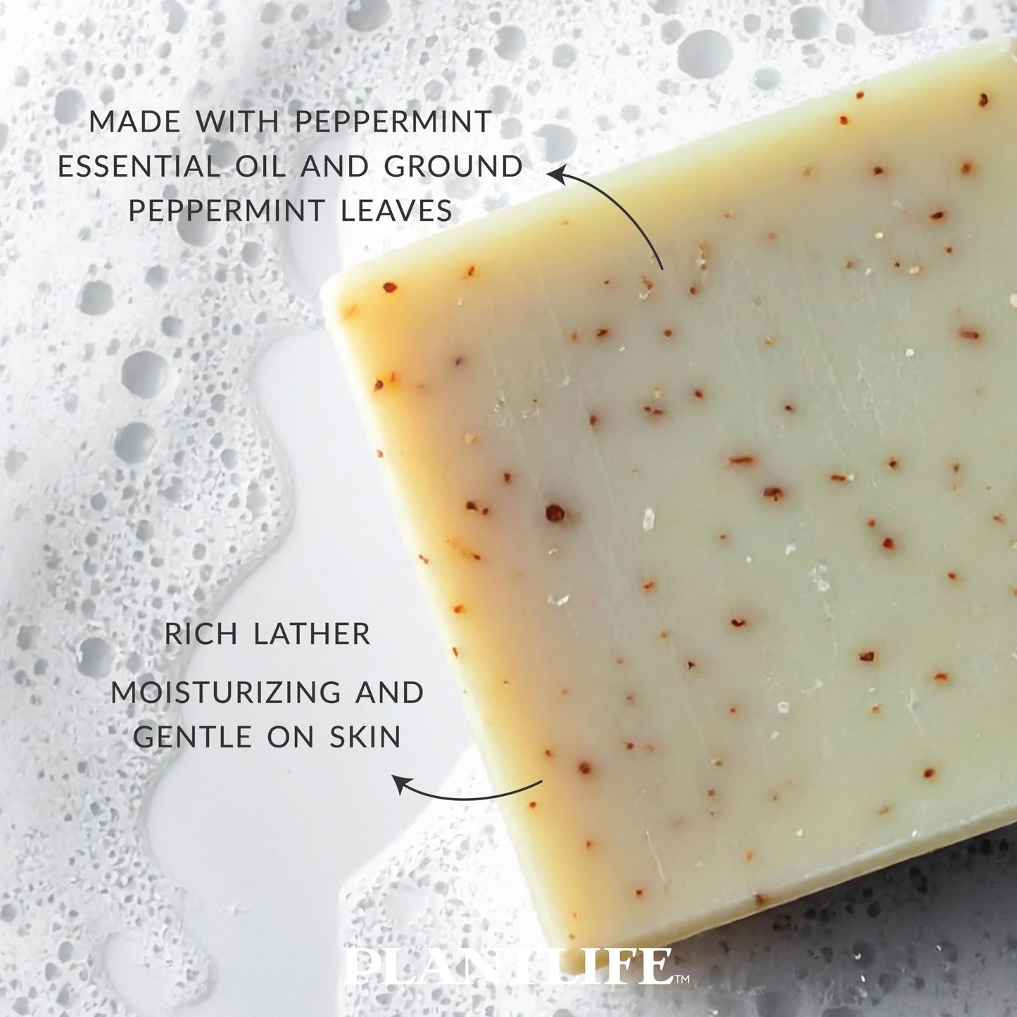 Plantlife Peppermint Bar Soap - Moisturizing and Soothing Soap for Your Skin - Hand Crafted Using Plant-Based Ingredients - Made in California 4oz Bar