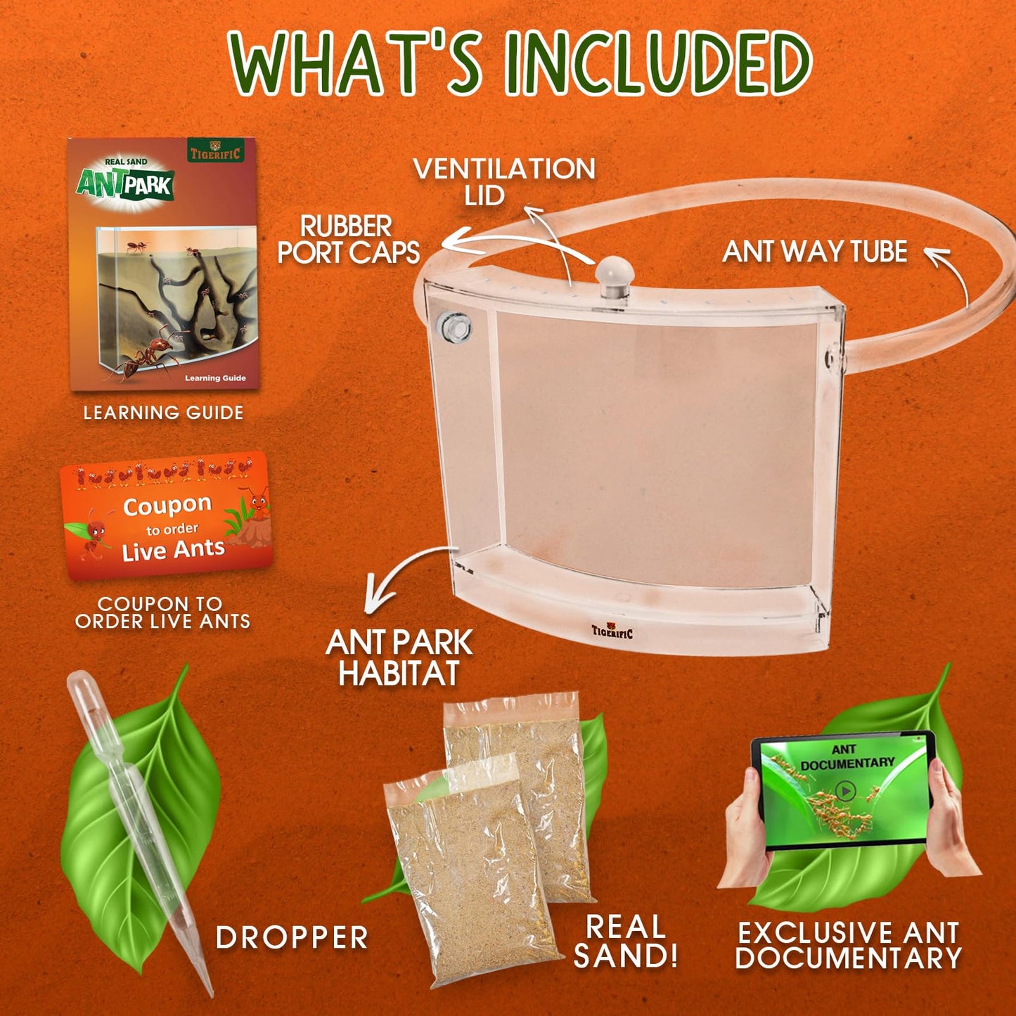 Tigerific Ant Farm – Live Ant Colony Kit with Real Sand, Fun Science Habitat for Kids, Watch Ants Dig Tunnels, Carry Food & Explore