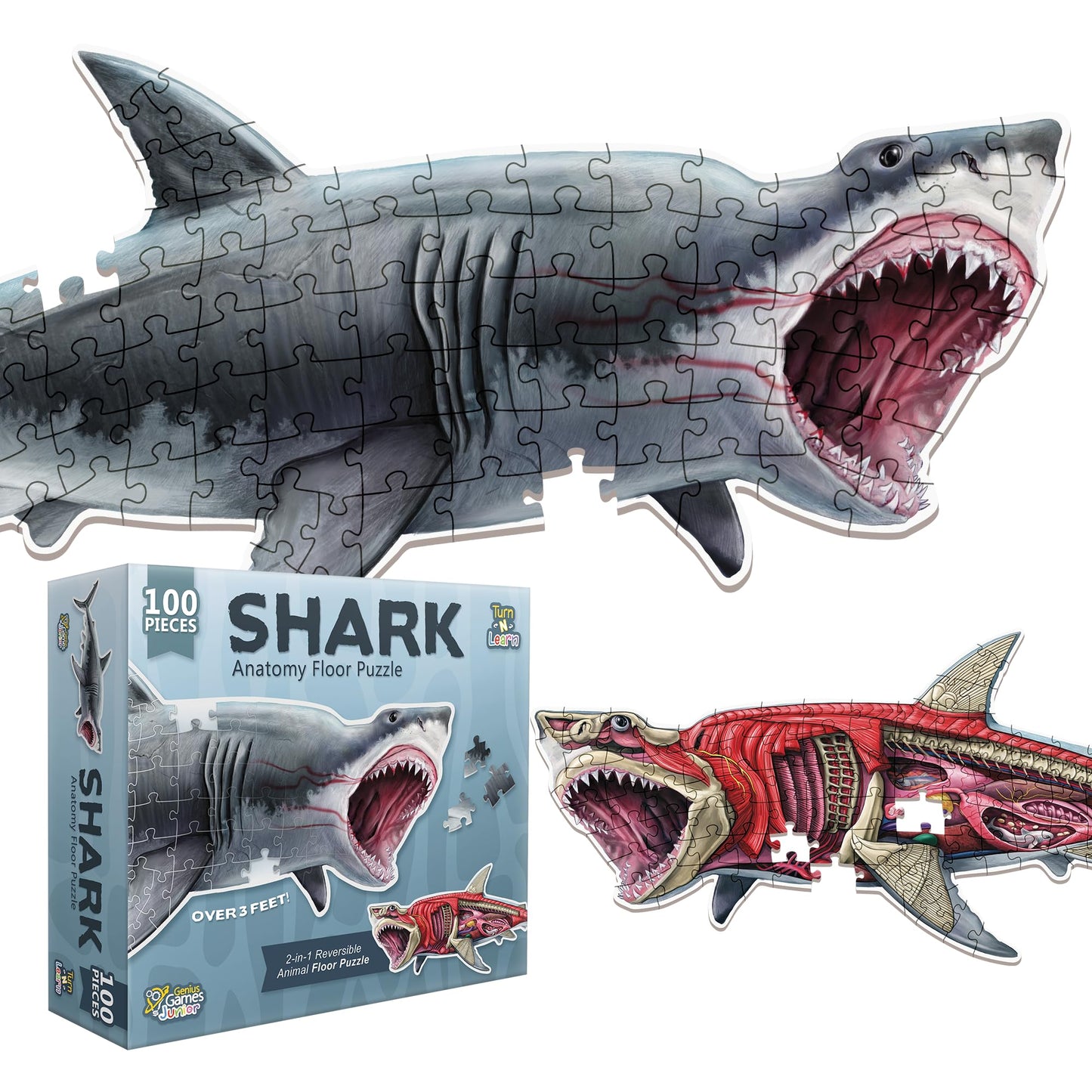 Shark Animal Anatomy Floor Puzzle – 100-Piece Double-Sided Jigsaw Puzzle for Kids Ages 4-8, Educational Large Floor Puzzle for Toddlers & Families