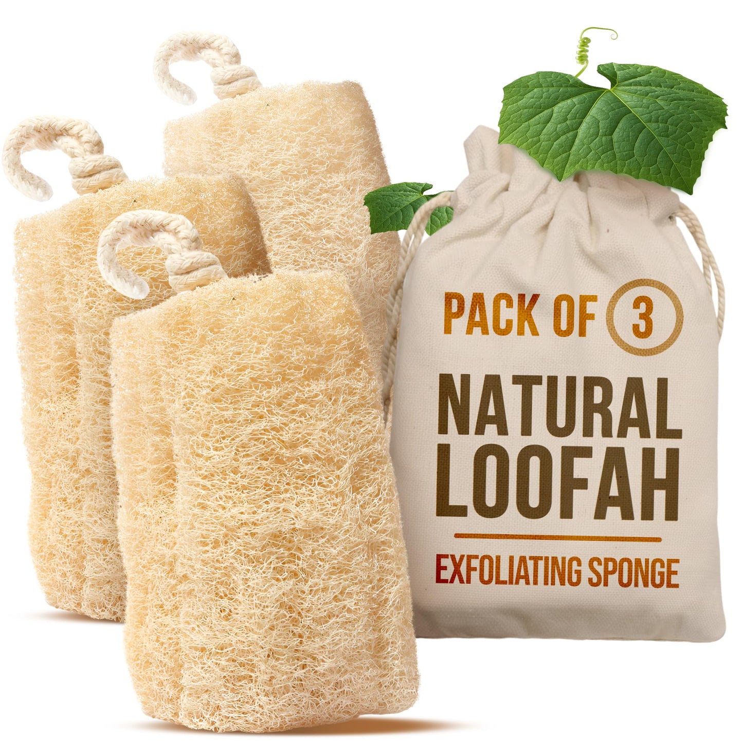 CraftsOfEgypt Natural Loofah Sponge - Egyptian Luffa Body Scrubber Pack of 3 for Men & Women, Natural Bath & Shower Loofah Exfoliator, All Natural