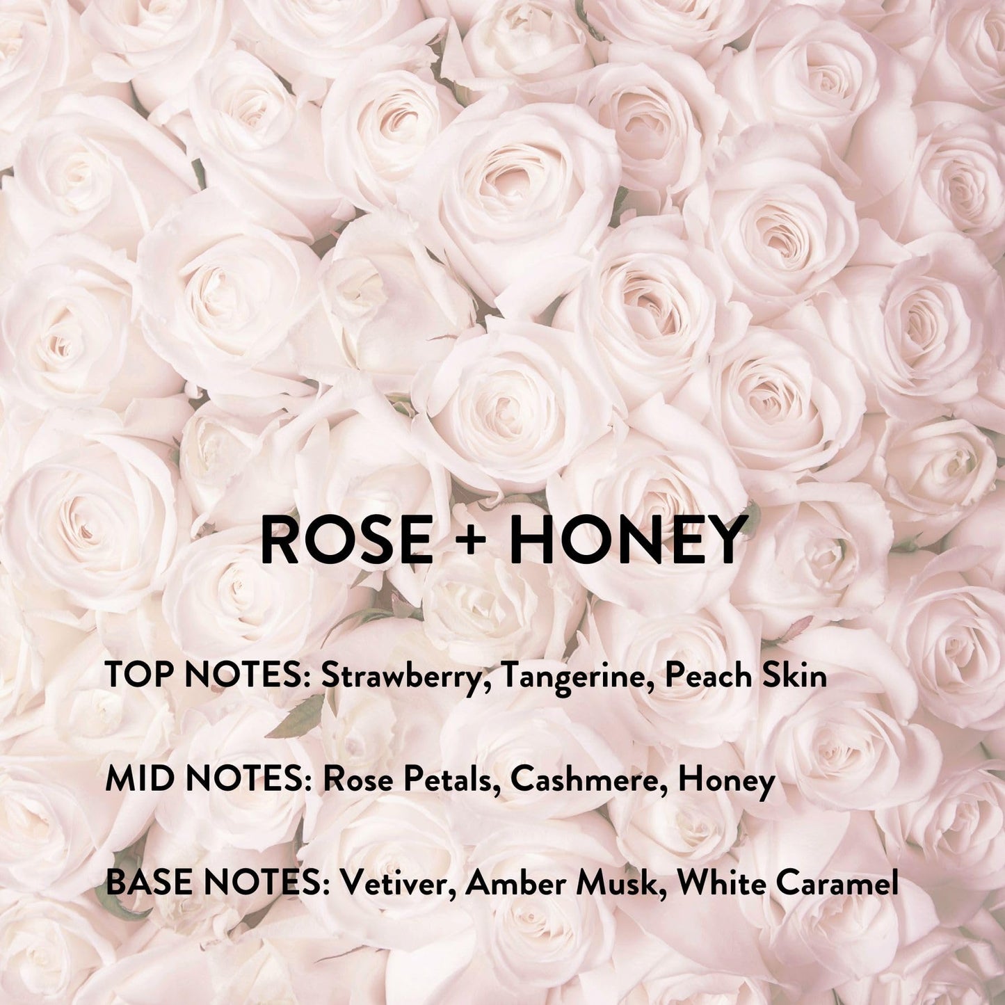 Michael Malul Rose + Honey Eau de Parfum for Women - 10ml Travel Size