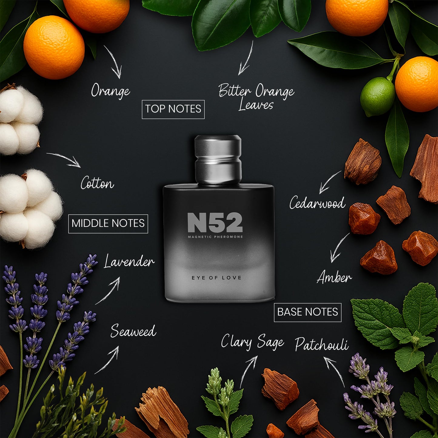 Eye of Love N52 Magnetic Pheromone Cologne for Men - Citrus Lavender Scent with Amber & Cedarwood - High Concentration Parfum Fragrances Beauty & Personal Care EOL EYE OF LOVE
