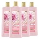 Caress Body Wash for Women, Daily Silk, 18 oz, 4 Count, softening