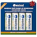 Waxhead Zinc Oxide Lip Balm - SPF Mineral Lip Sunscreen Chapstick for Kids and Adults, Non Nano Zinc Lip Balm for Sensitive Skin, Reef Safe (Mint 4