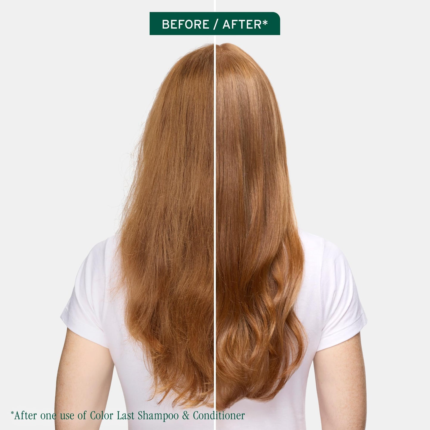 Biolage Color Last Conditioner | Color Safe Conditioner | Helps Maintain Depth & Shine | For Color-Treated Hair | Paraben & Silicone-Free | Vegan| Beauty and Personal Care Biolage